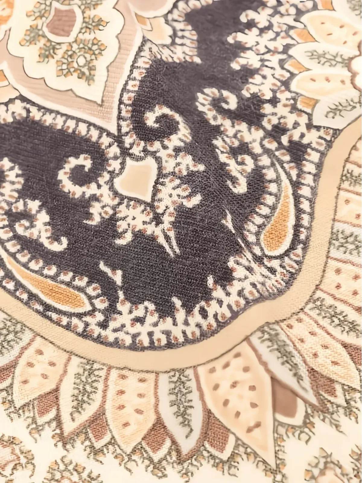 Etro Pre-Owned スタール ロゴプリント スカーフ - 画像3