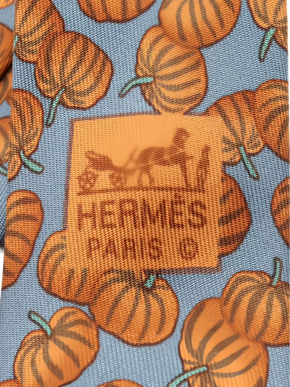 Hermès ビンテージ パンプキンプリント シルクタイ - ブルー - 画像4