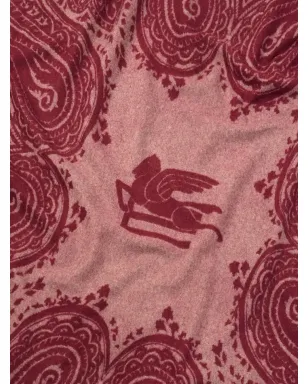 ETRO HOME ジャカード ペイズリーブランケット - サムネイル3