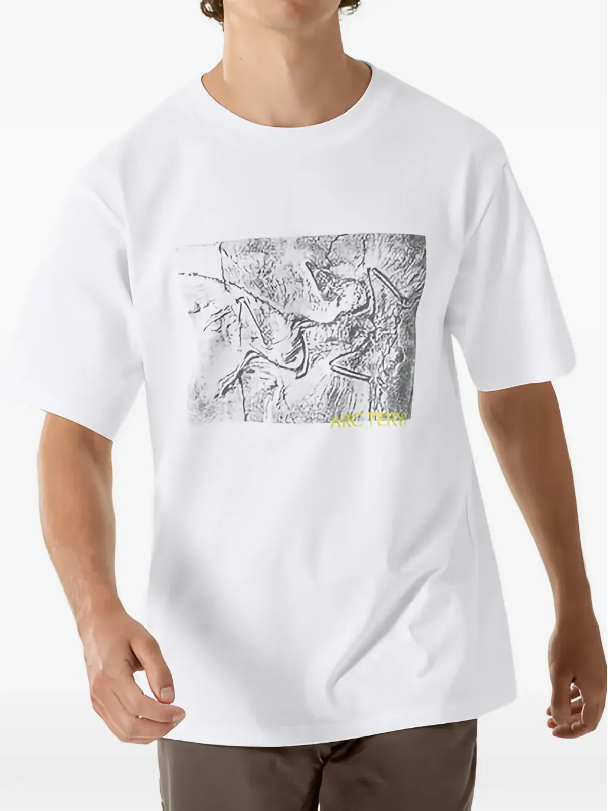 Arc'teryx Kragg グラフィックTシャツ - 画像2