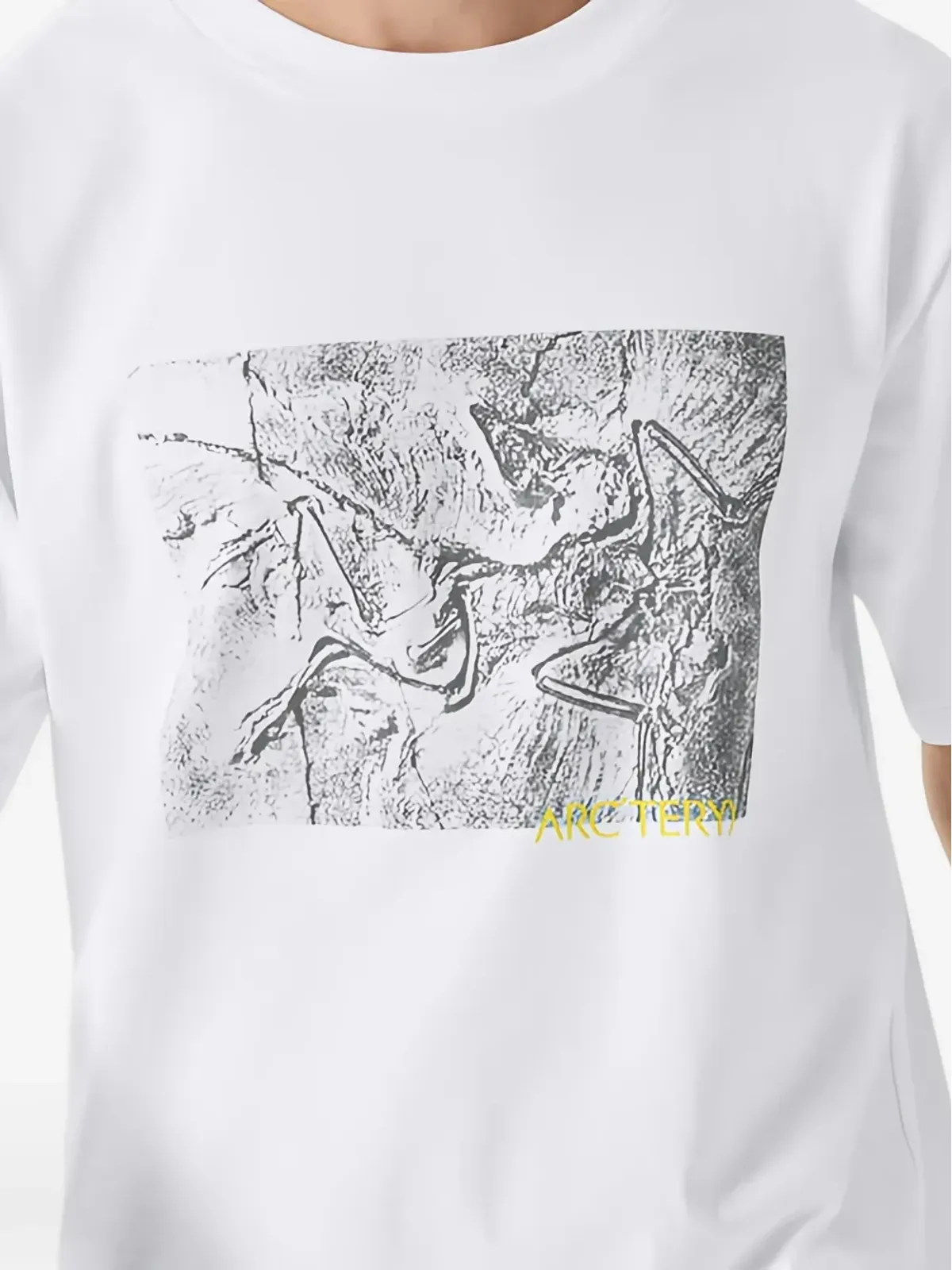 Arc'teryx Kragg グラフィックTシャツ - 画像4