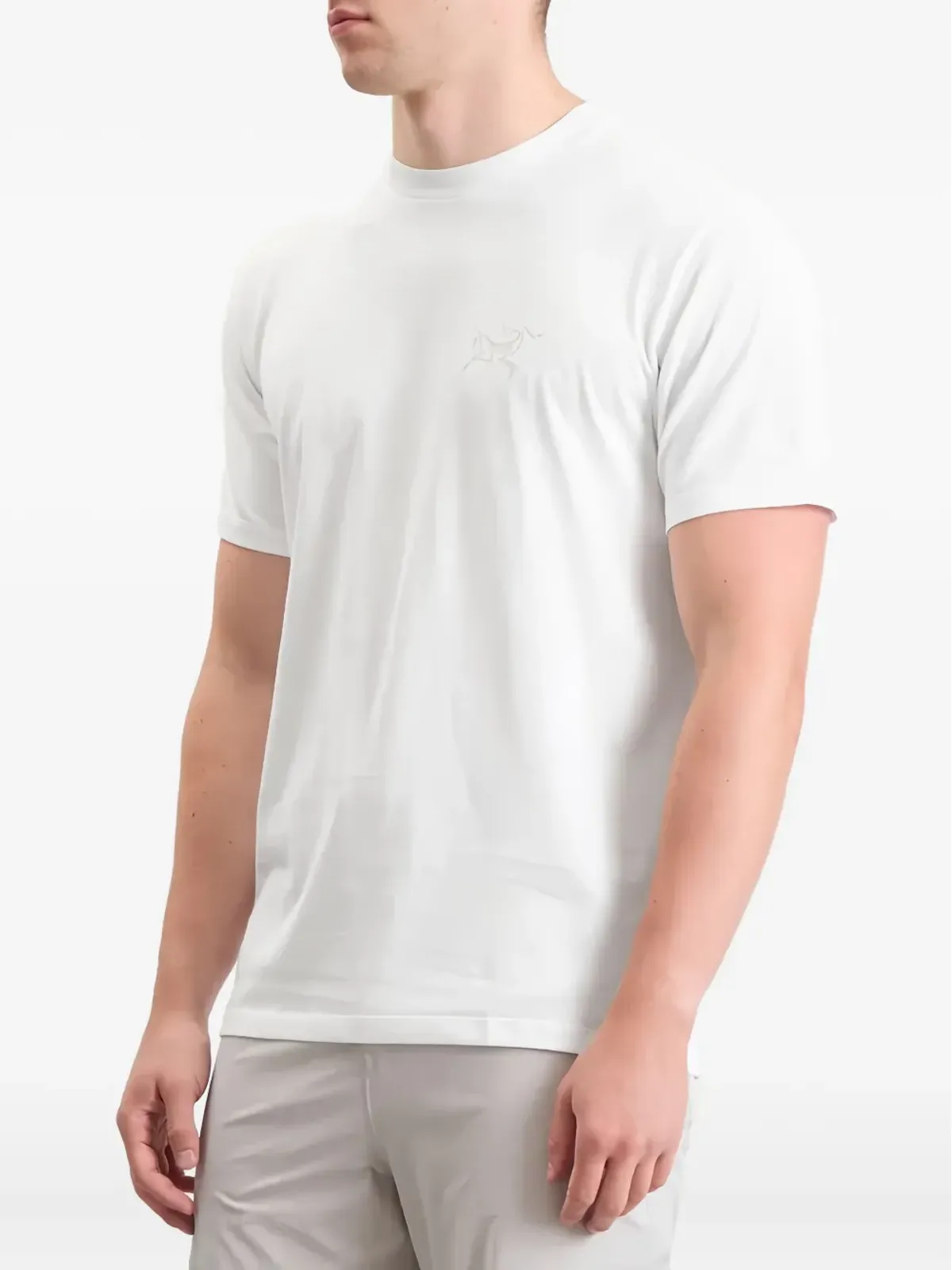 Arc'teryx Kragg SL ロゴTシャツ - 画像1