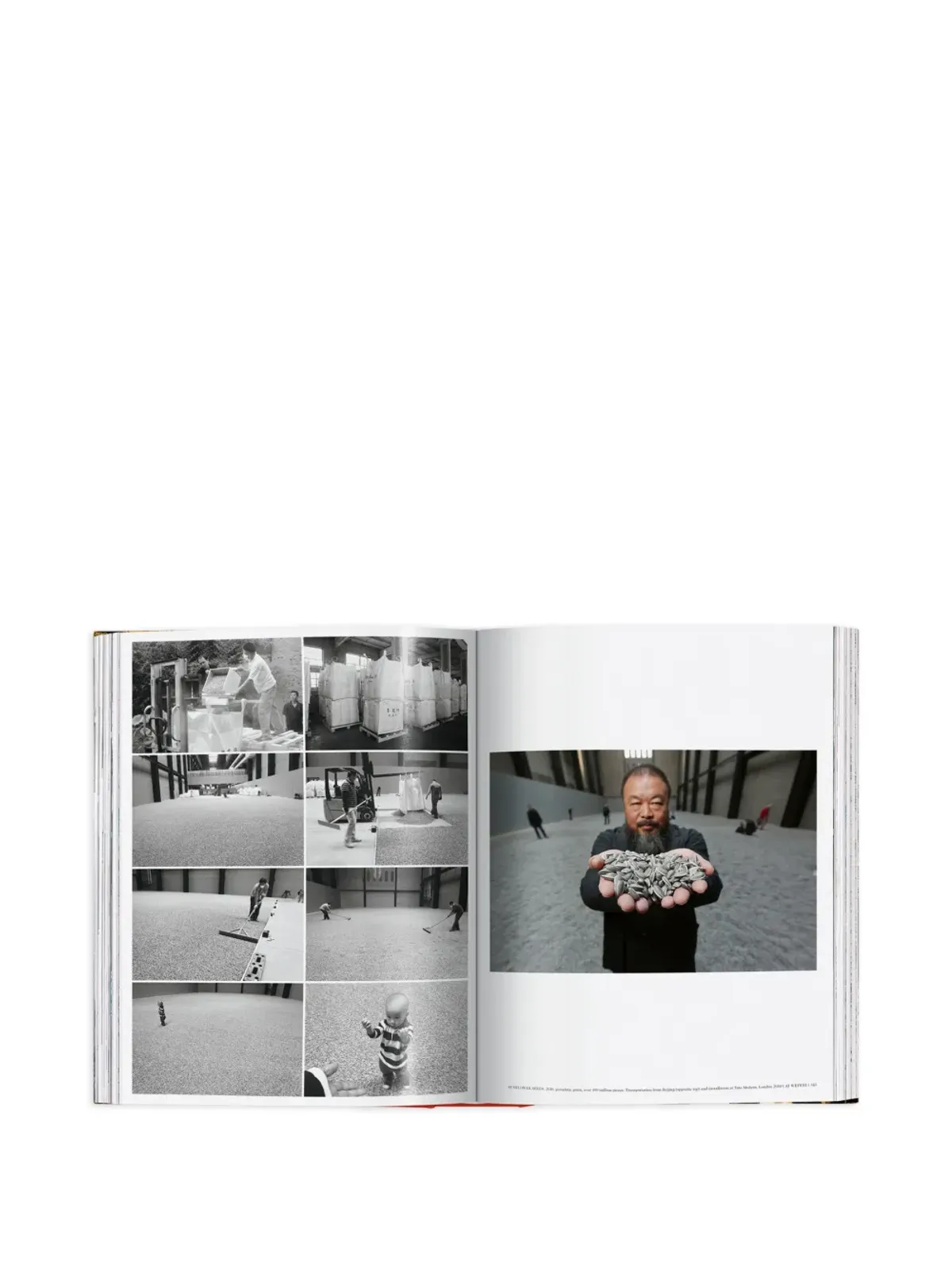 TASCHEN Ai Weiwei Updated Edition ブック - 画像5