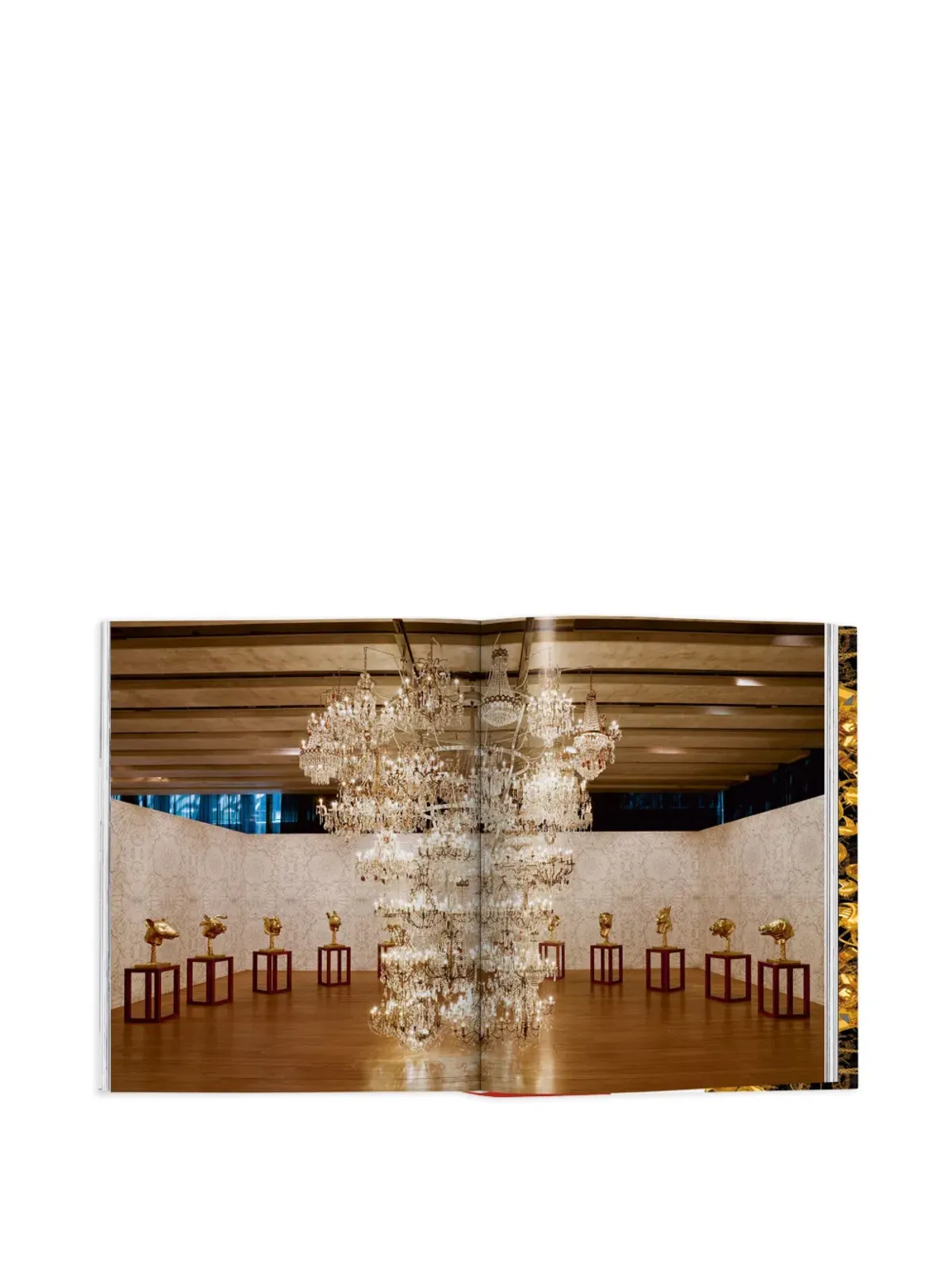 TASCHEN Ai Weiwei Updated Edition ブック - 画像2