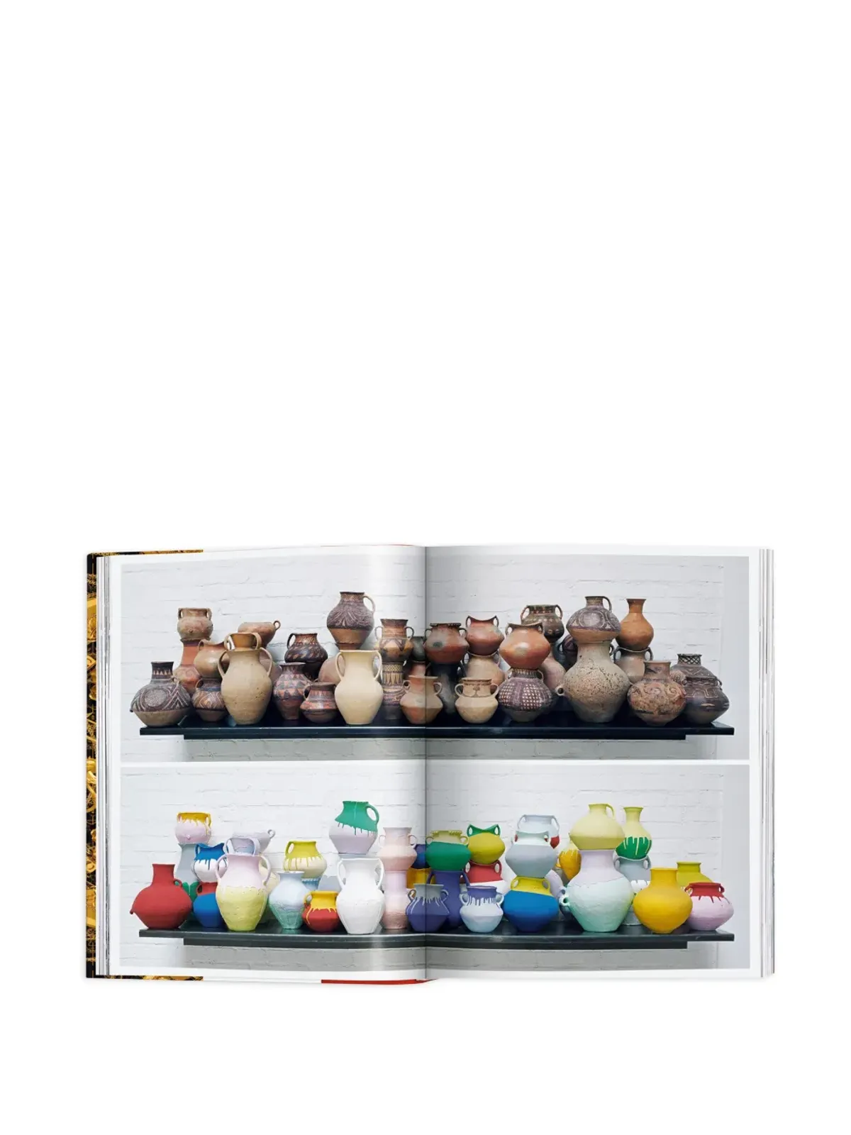 TASCHEN Ai Weiwei Updated Edition ブック - 画像3