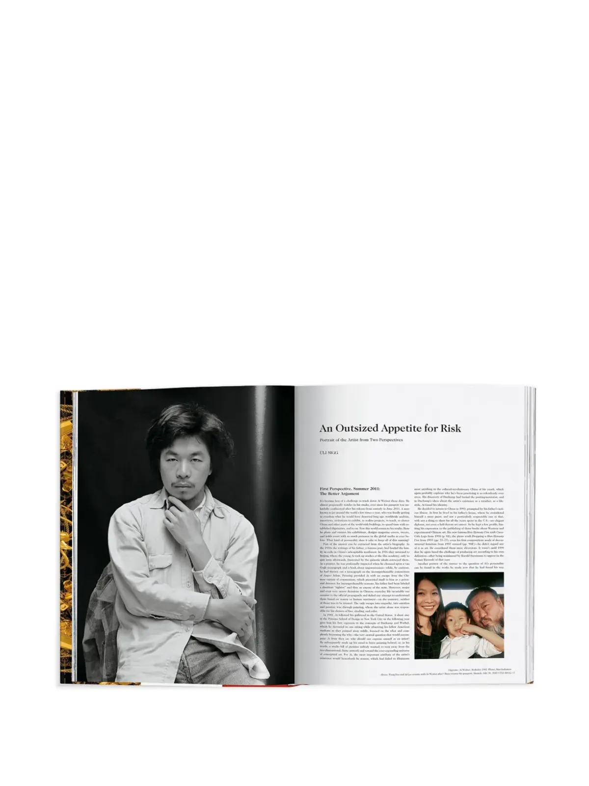 TASCHEN Ai Weiwei Updated Edition ブック - 画像4
