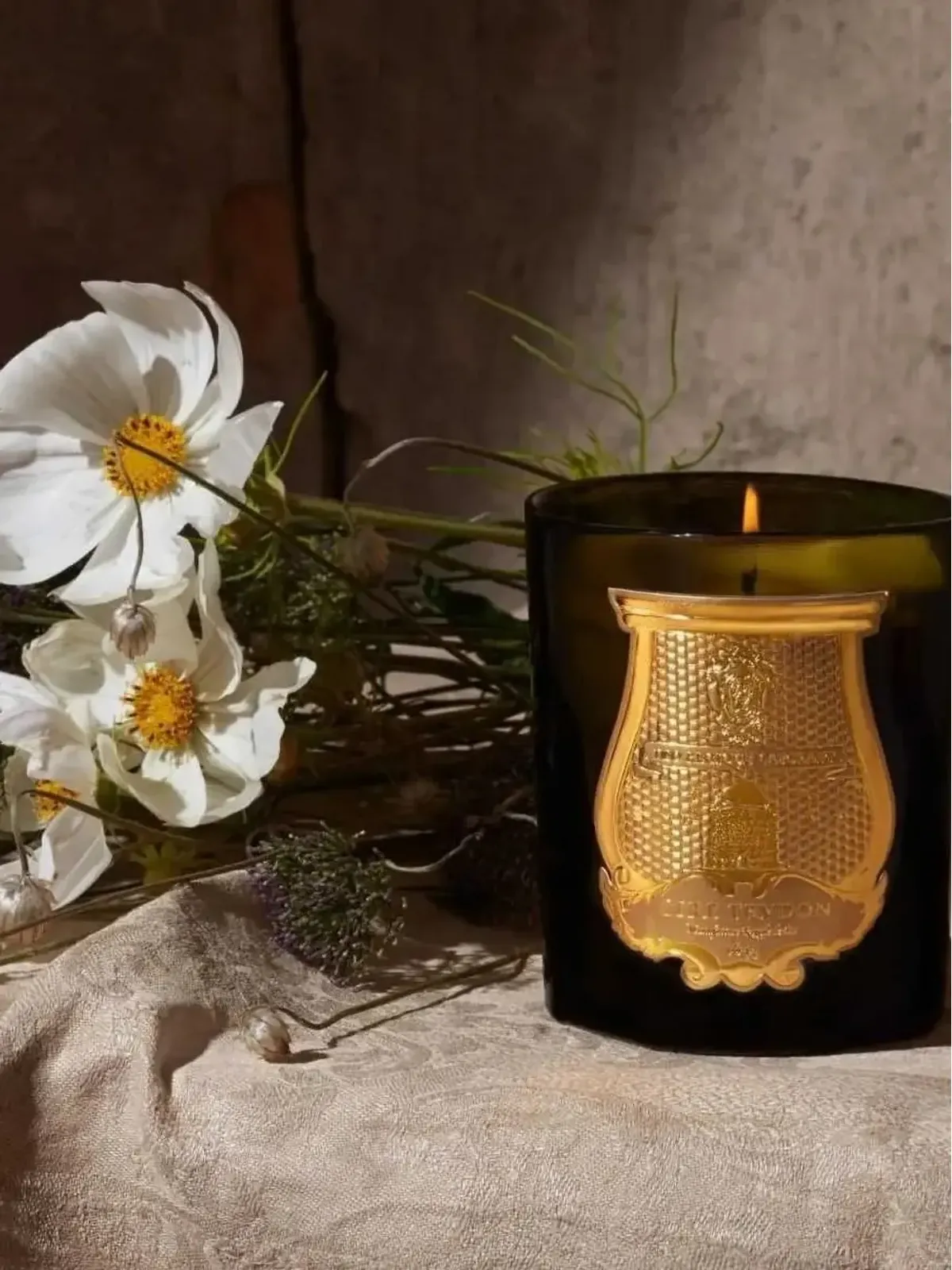 TRUDON Odalisque shield-motif candle グリーン - 画像3