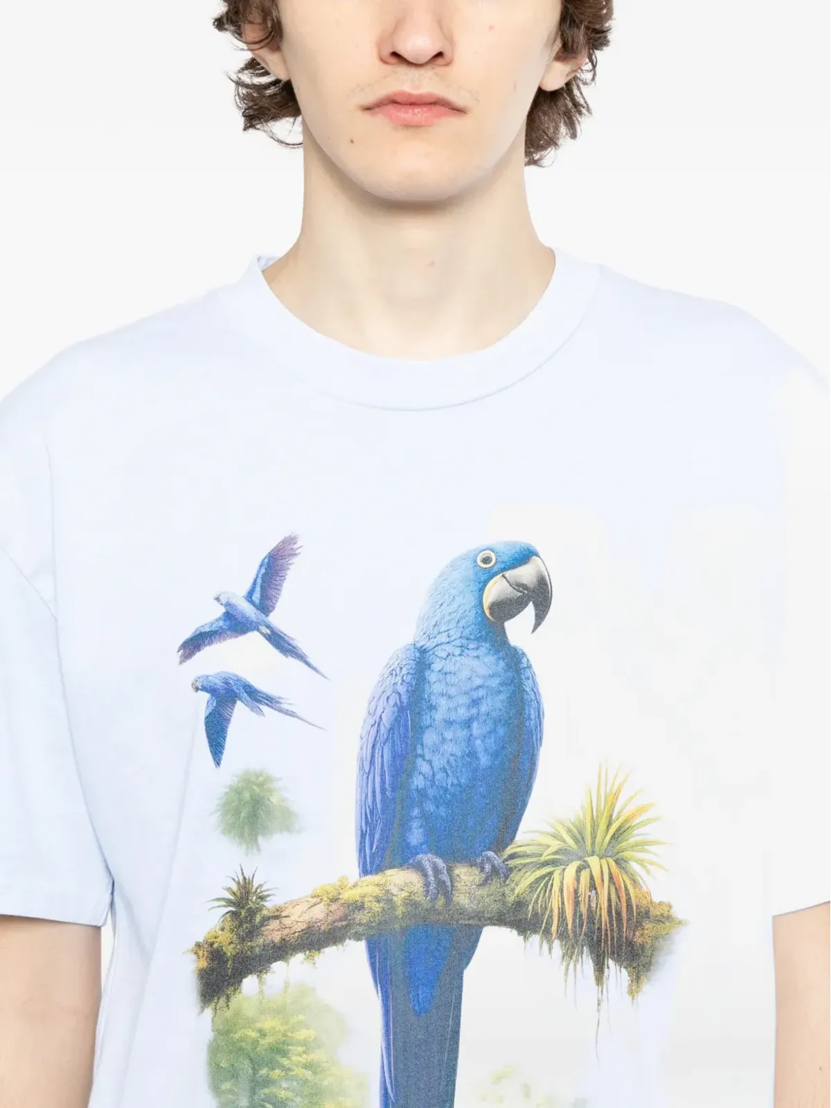 Melt パロット グラフィック Tシャツ - 画像5