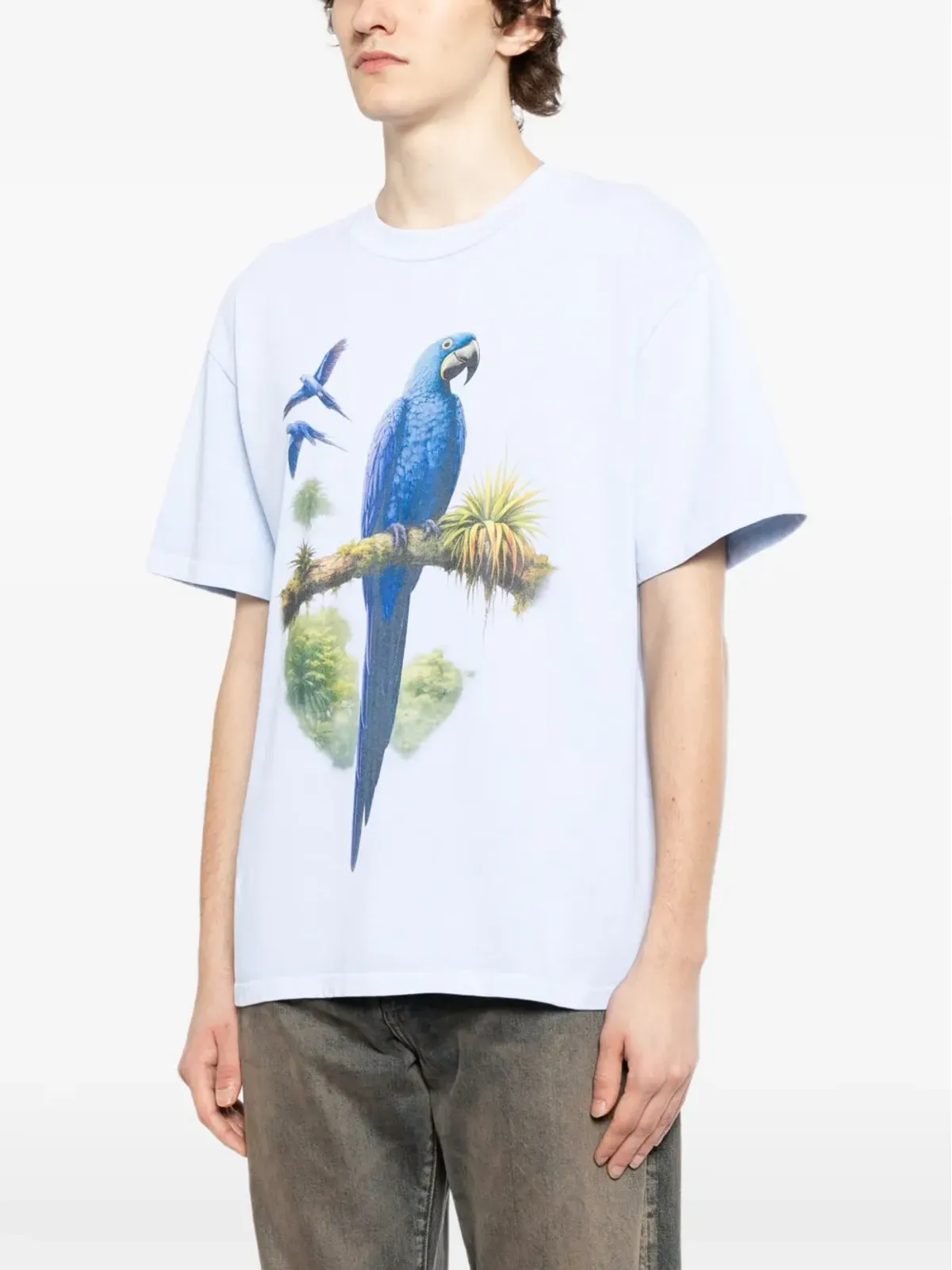 Melt パロット グラフィック Tシャツ - 画像3