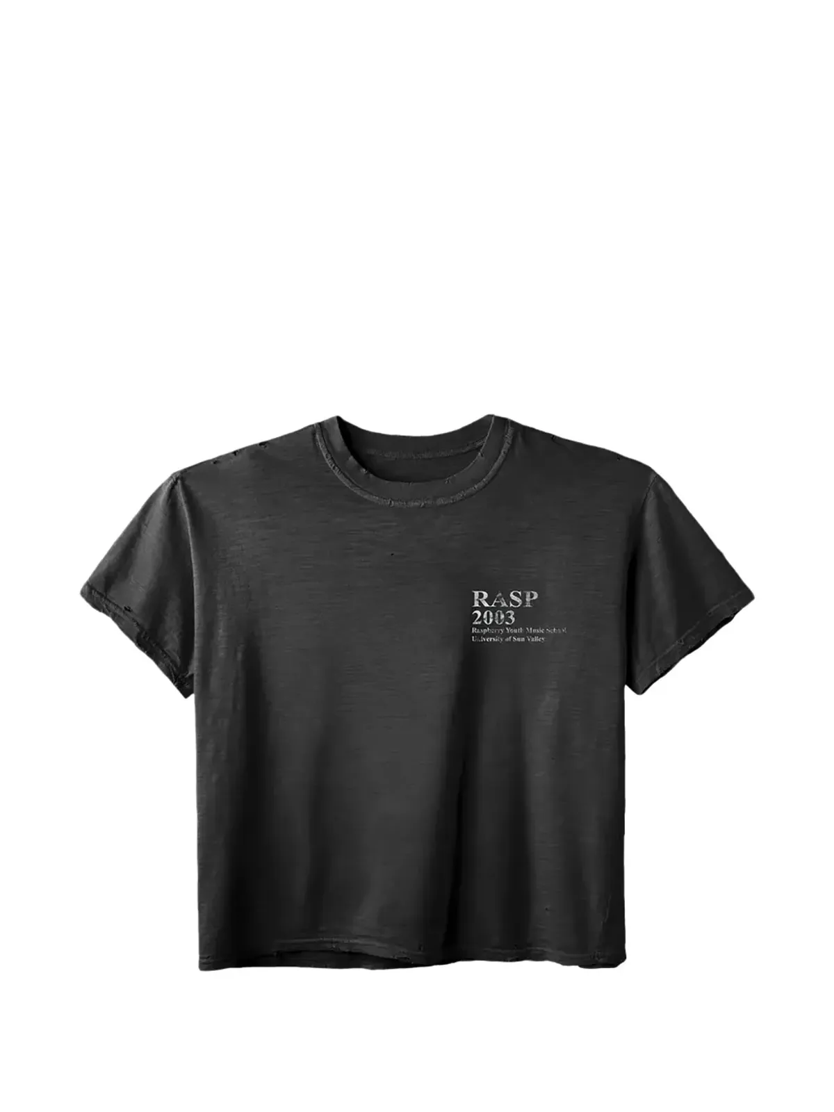 GV Gallery ラズベリーヒルズ ミュージック Tシャツ - 画像1