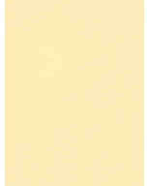 Destin ニキカ クアドラ フリンジスカーフ - Yellow - サムネイル2