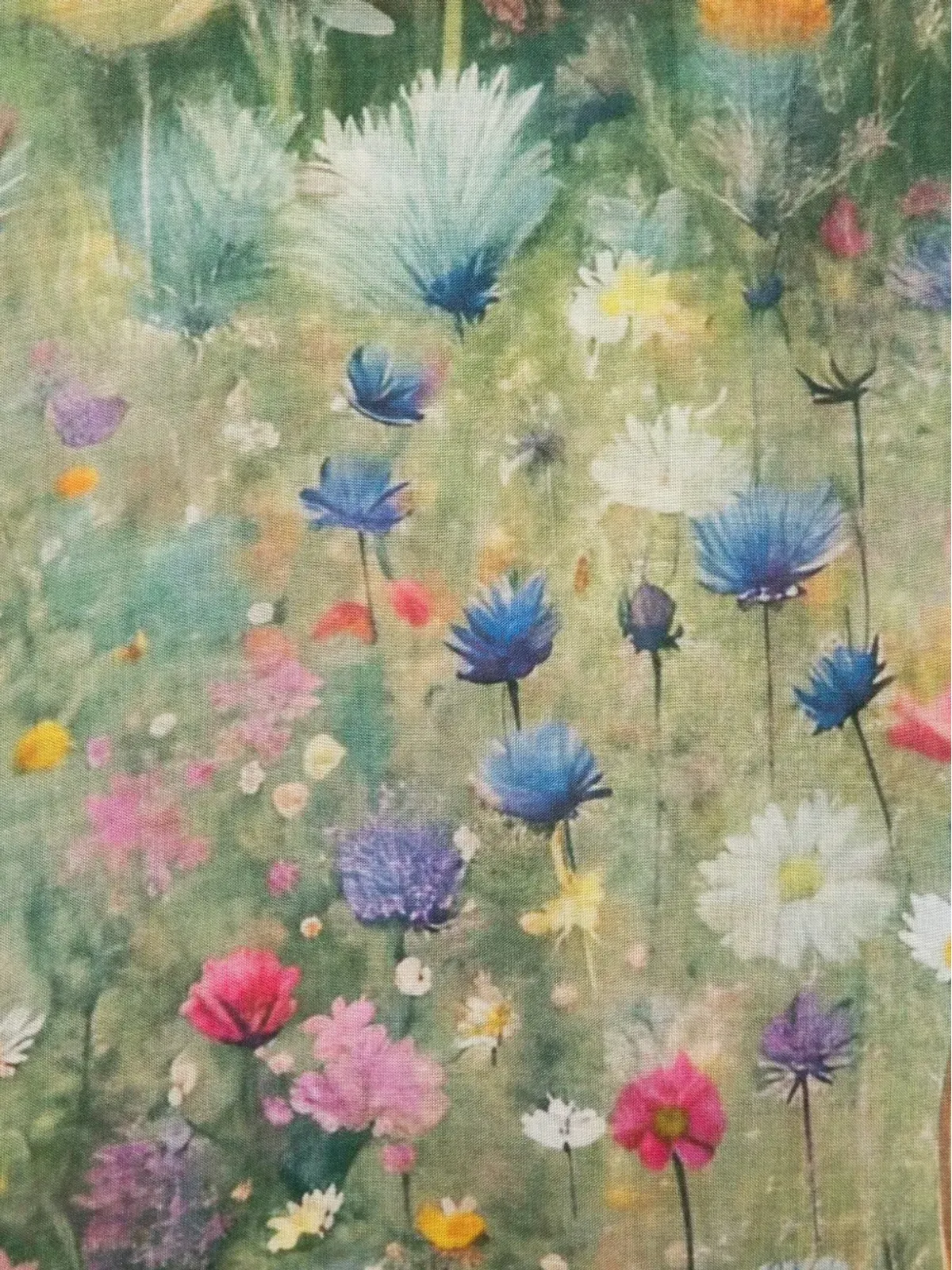 D'aniello 花柄プリント フリンジスカーフ - ブルー - 画像2