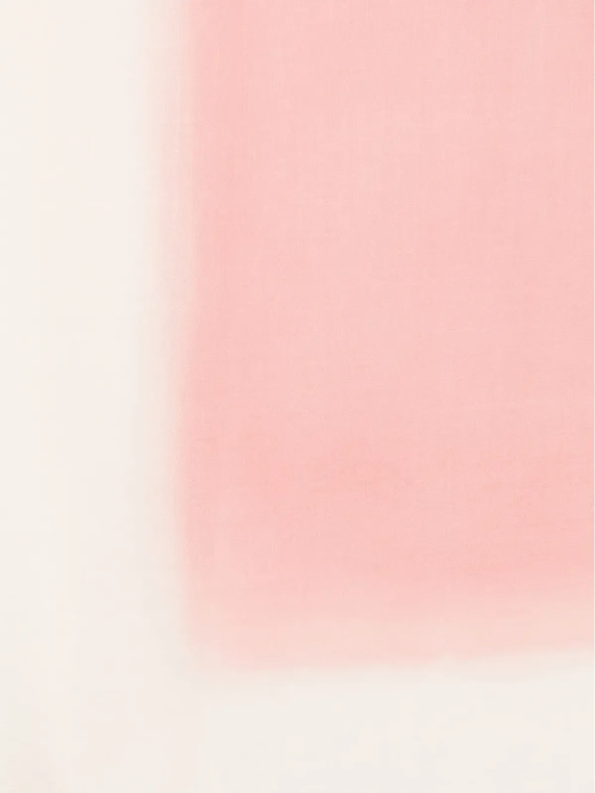 D'aniello フリンジスカーフ - 画像2