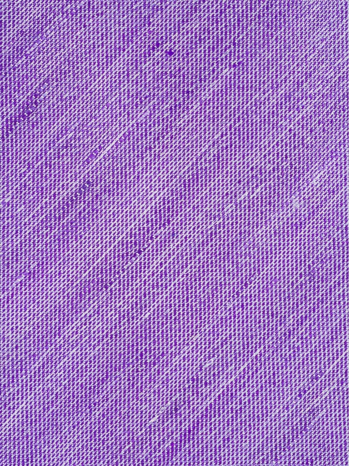 Eton 春のネクタイ - Purple - 画像2