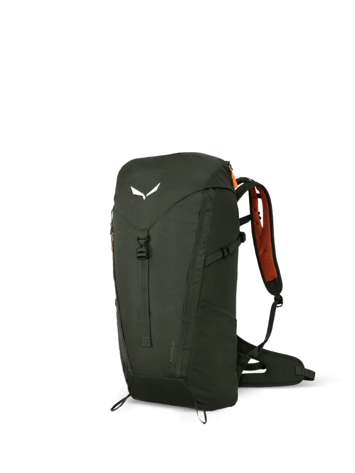 Salewa アルプ メイト バックパック - 画像1