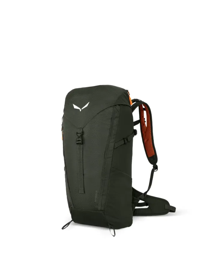 Salewa Salewa アルプ メイト バックパックの商品画像
