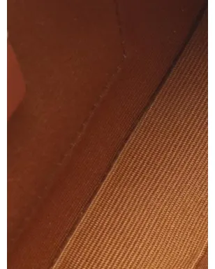 Celine Pre-Owned ミニ Triomphe キュイール コーテッド キャンバス カメラバッグ ショルダーバッグ - Brown - サムネイル4