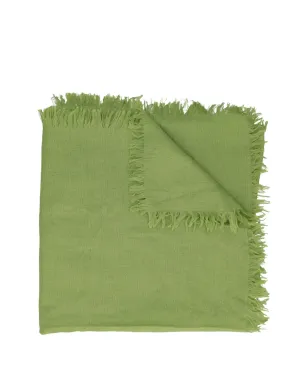 Agnona Vintage fringed scarf - Green - サムネイル2
