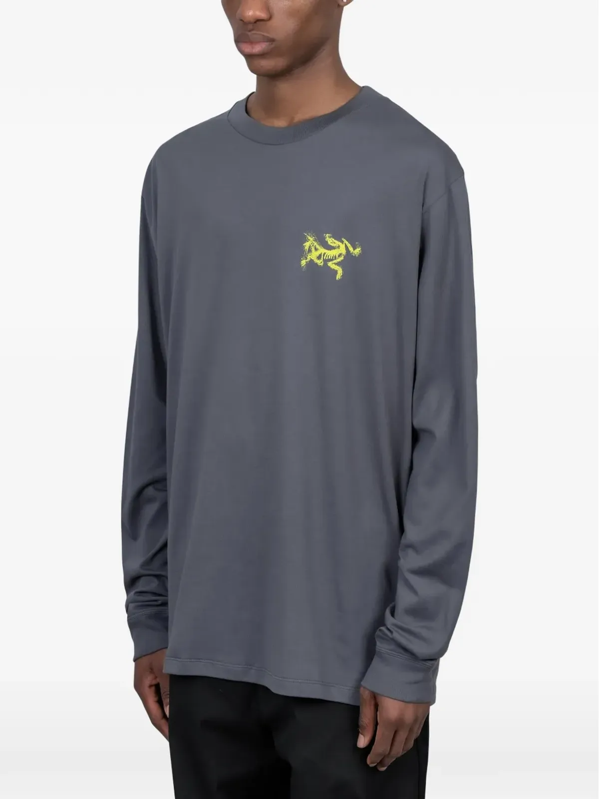 Arc'teryx グラフィックプリントTシャツ - グレー - 画像2