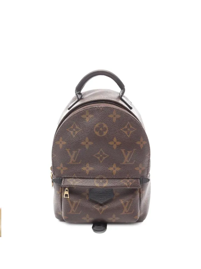 Louis Vuitton Pre-Owned Louis Vuitton Pre-Owned モノグラム ミニ パームスプリングス バックパックの商品画像