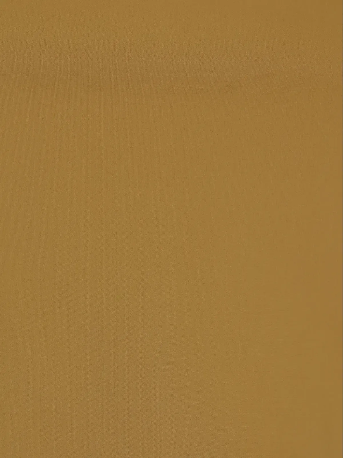 Niccolò Pasqualetti カットアウトトップ - 画像3