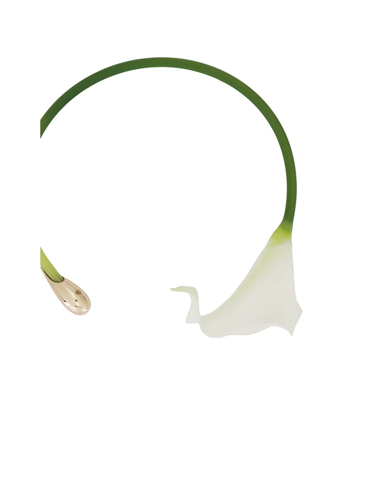 Cult Gaia CALLA チョーカー - 画像2