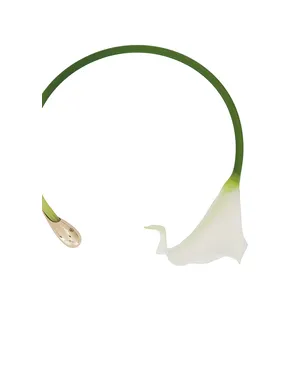 Cult Gaia CALLA チョーカー - サムネイル2