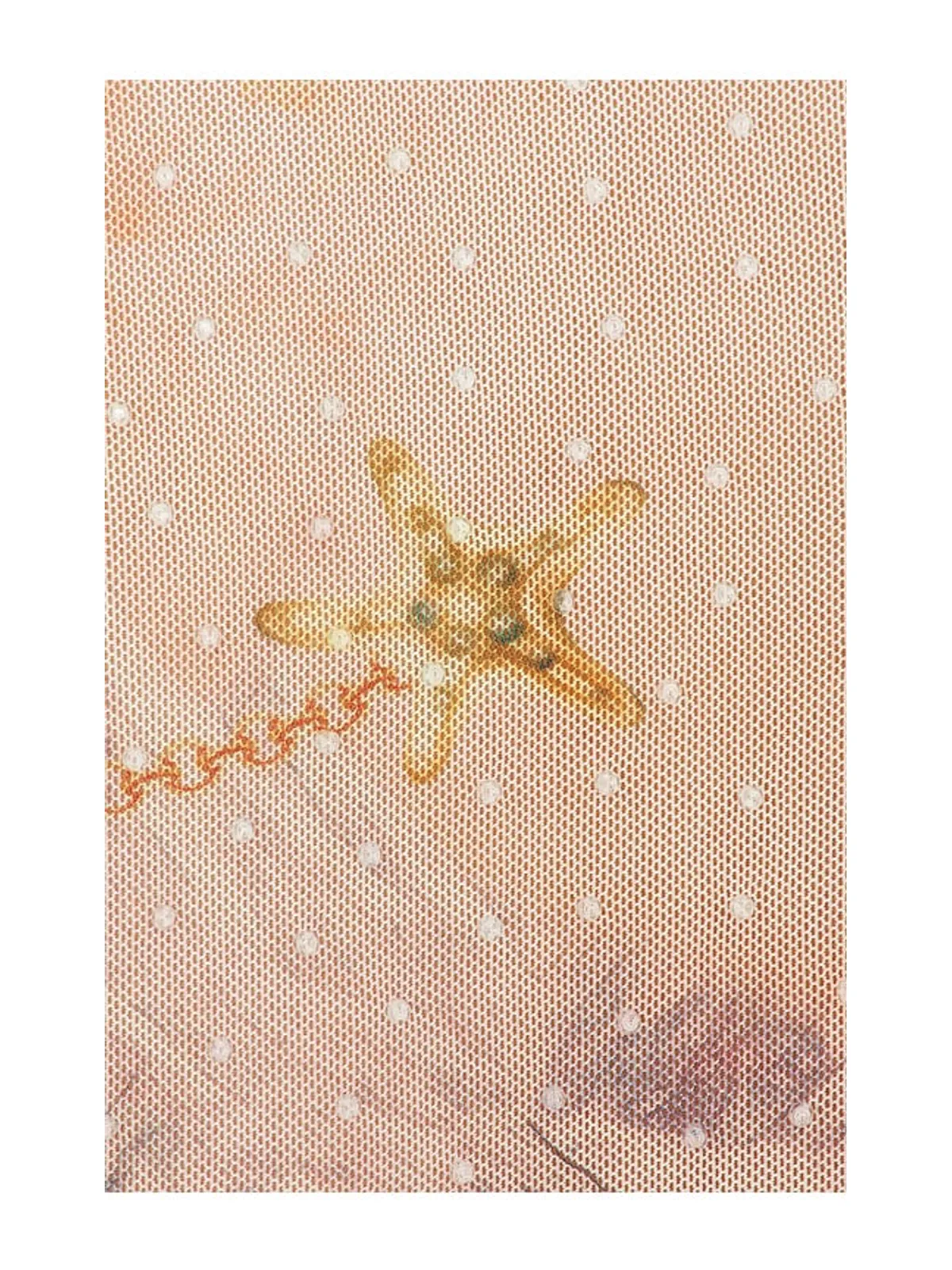 AFRM NINA DEW DROP トップ - 画像5