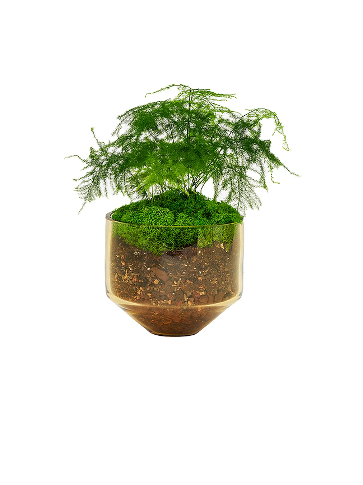 Areaware MODEL THREE PLANTER プランター - 画像2