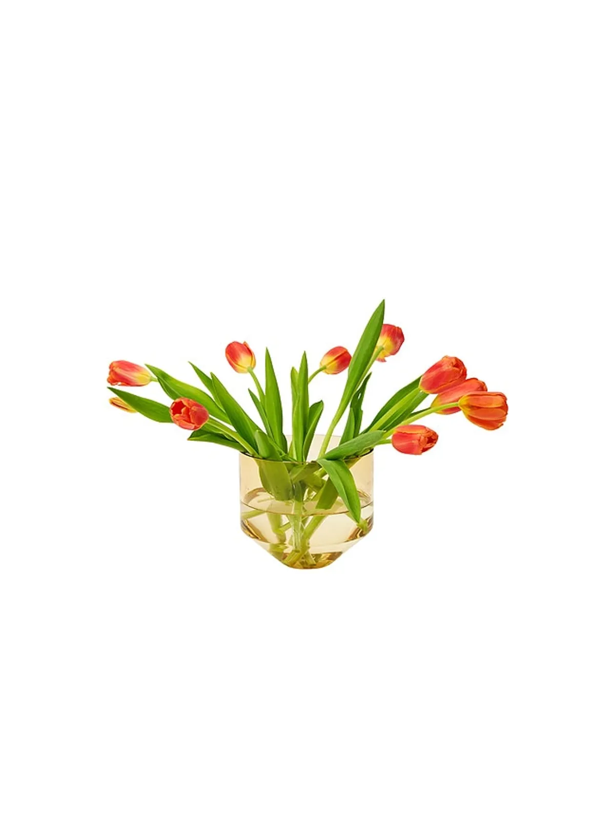 Areaware MODEL THREE PLANTER プランター - 画像4