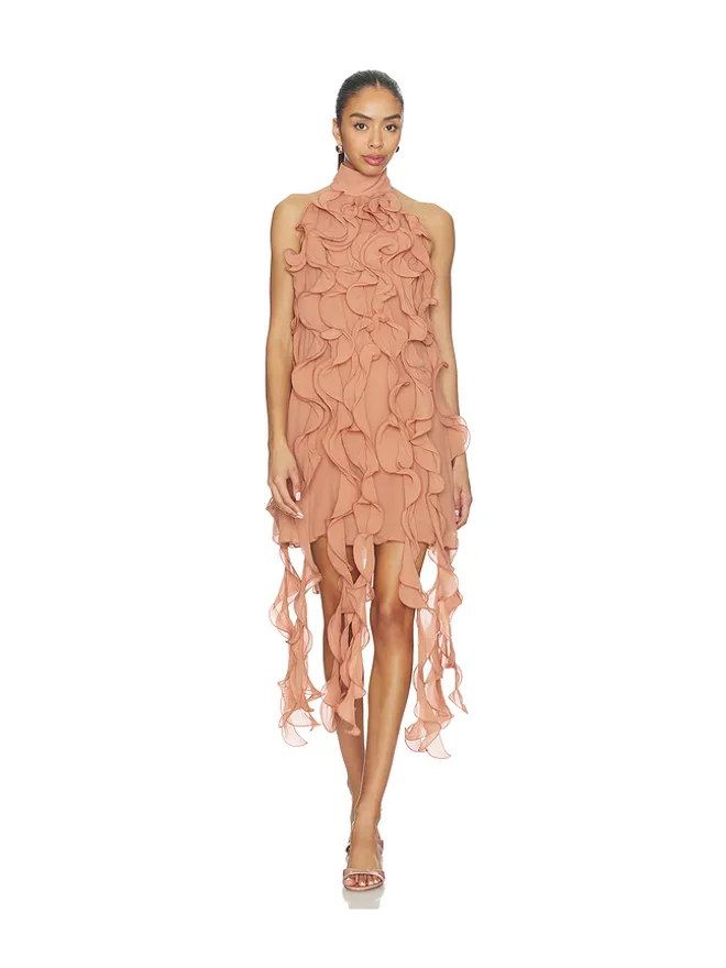 Aniye Records Aniye Records GABY RUFFLE ドレスの商品画像