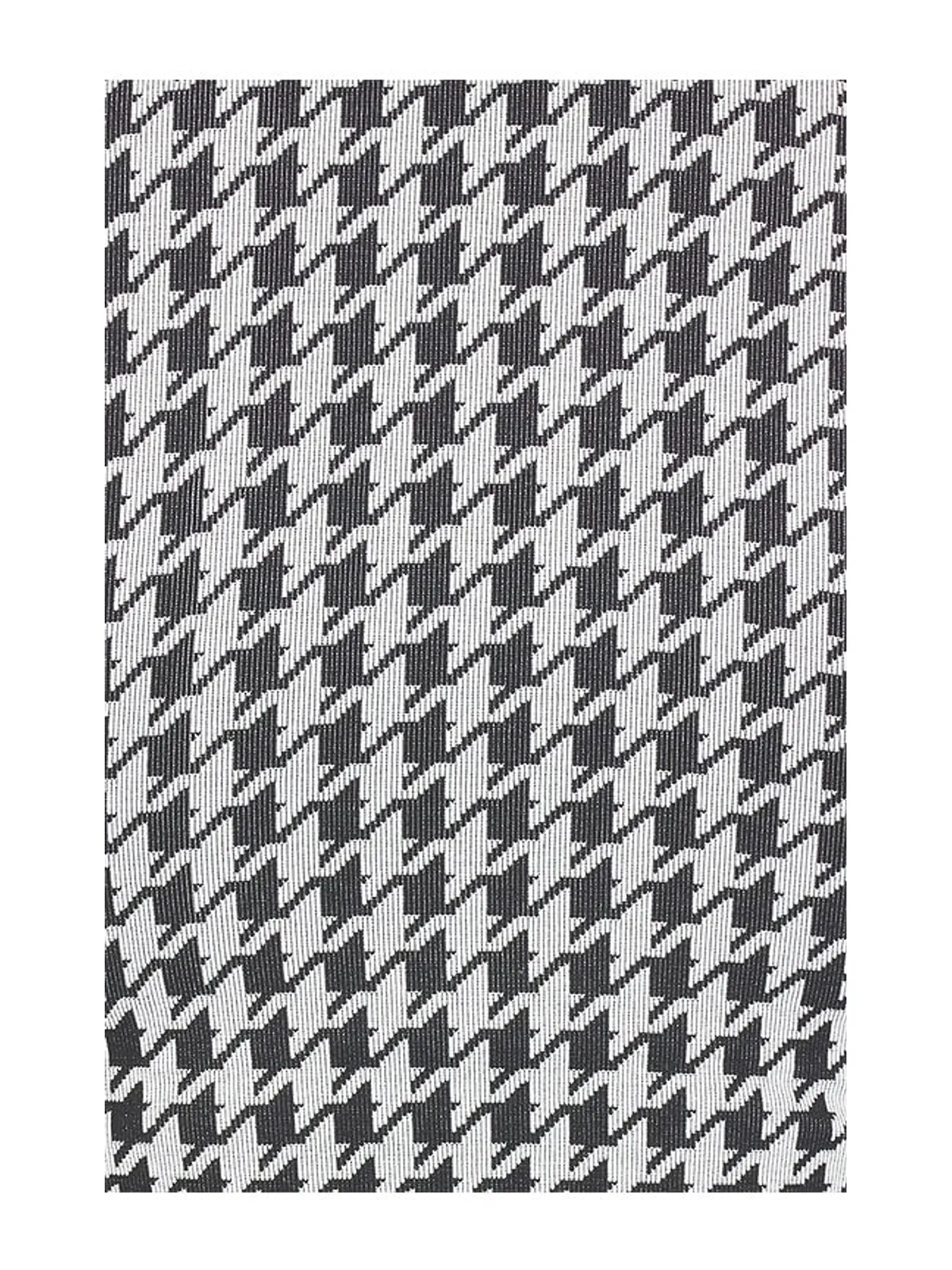 Astoria ZIP UP ジャケット - Black,White. - 画像6