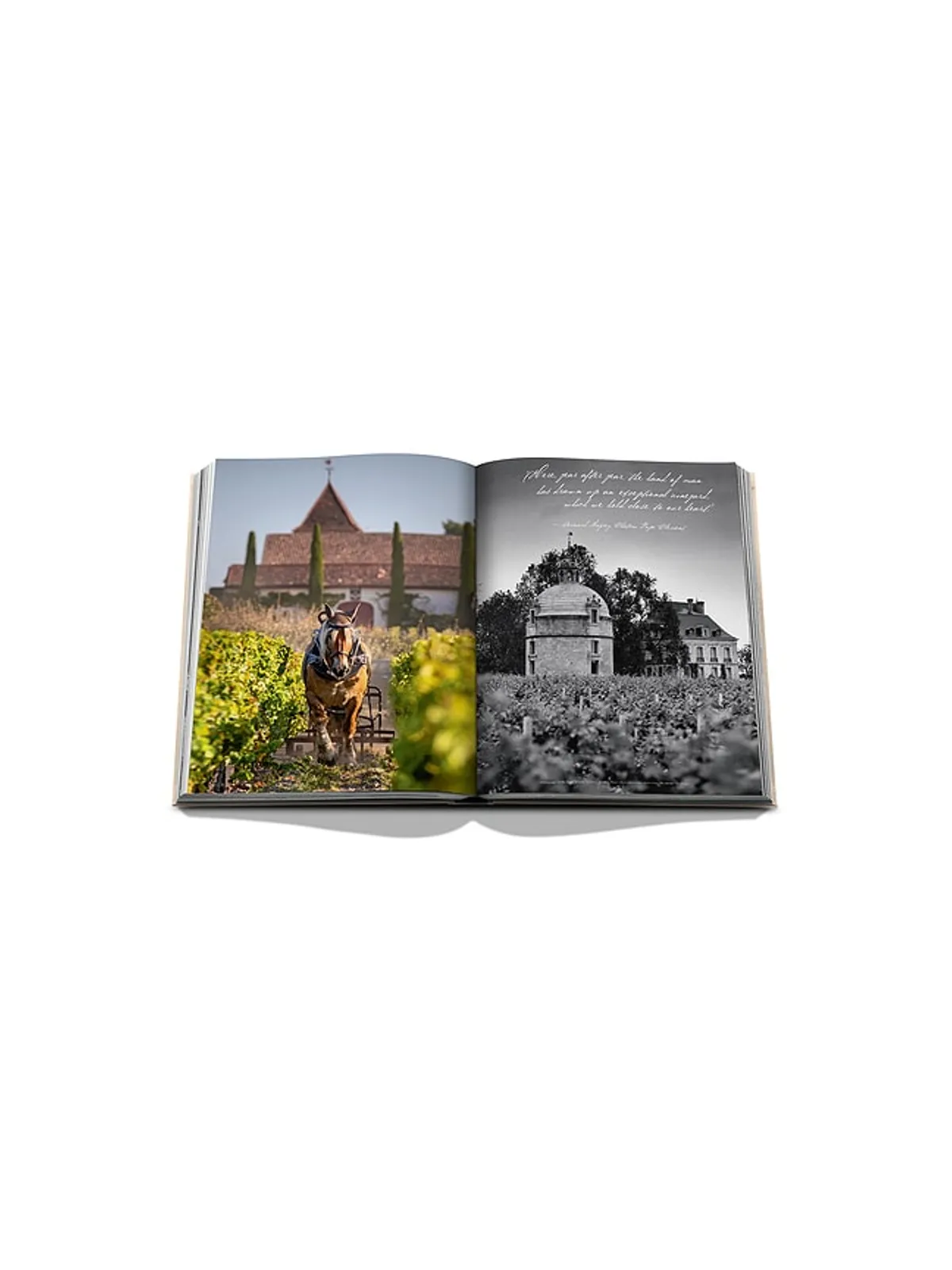 Assouline WINE & TRAVEL FRANCE ブック - 画像5