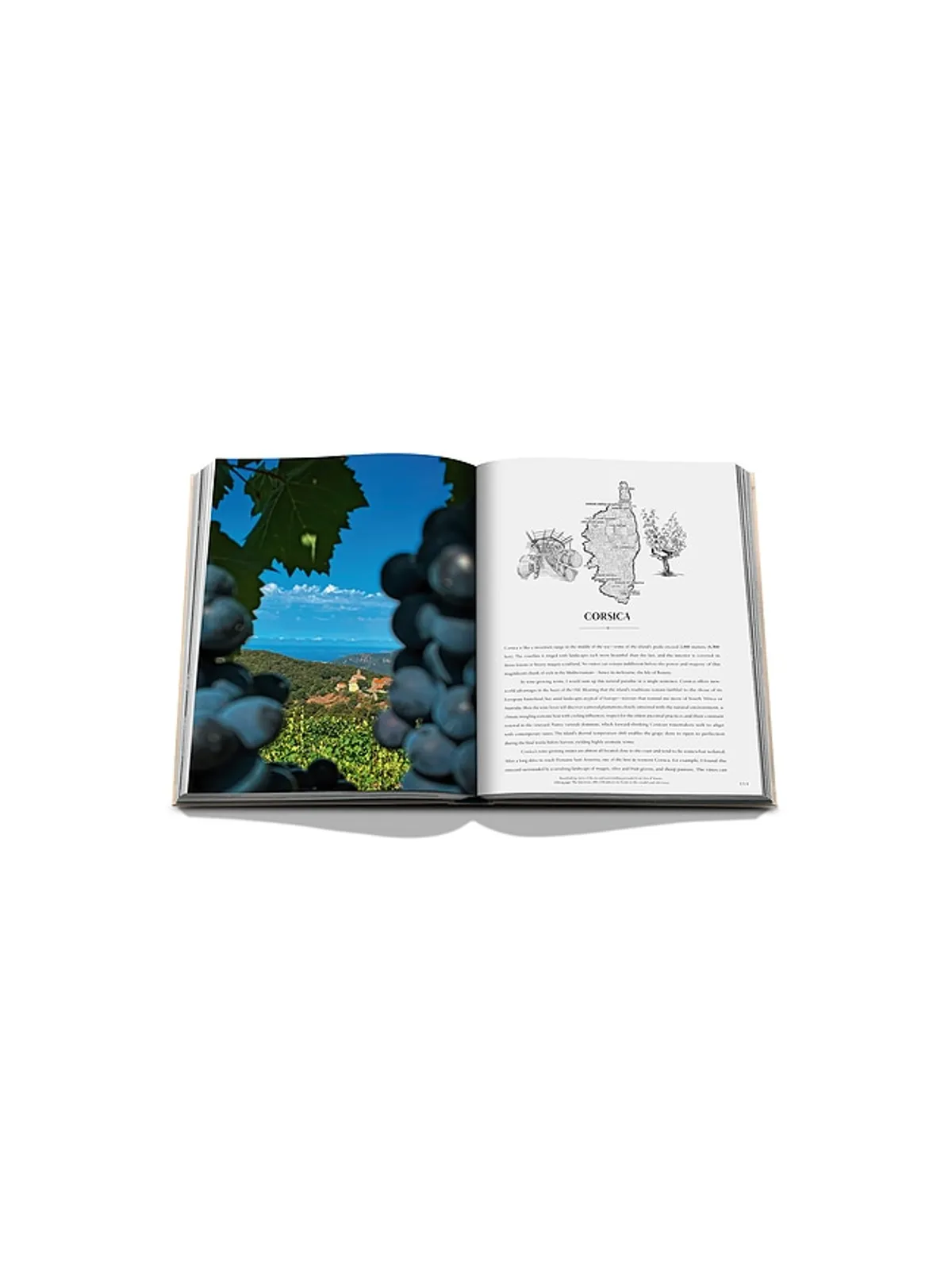 Assouline WINE & TRAVEL FRANCE ブック - 画像8