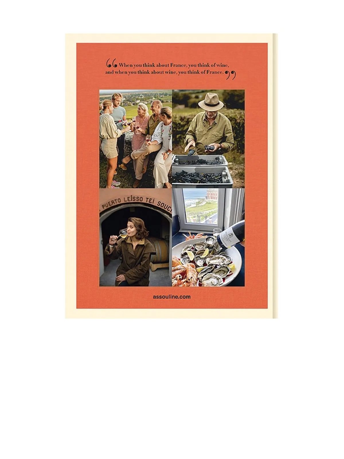 Assouline WINE & TRAVEL FRANCE ブック - 画像3