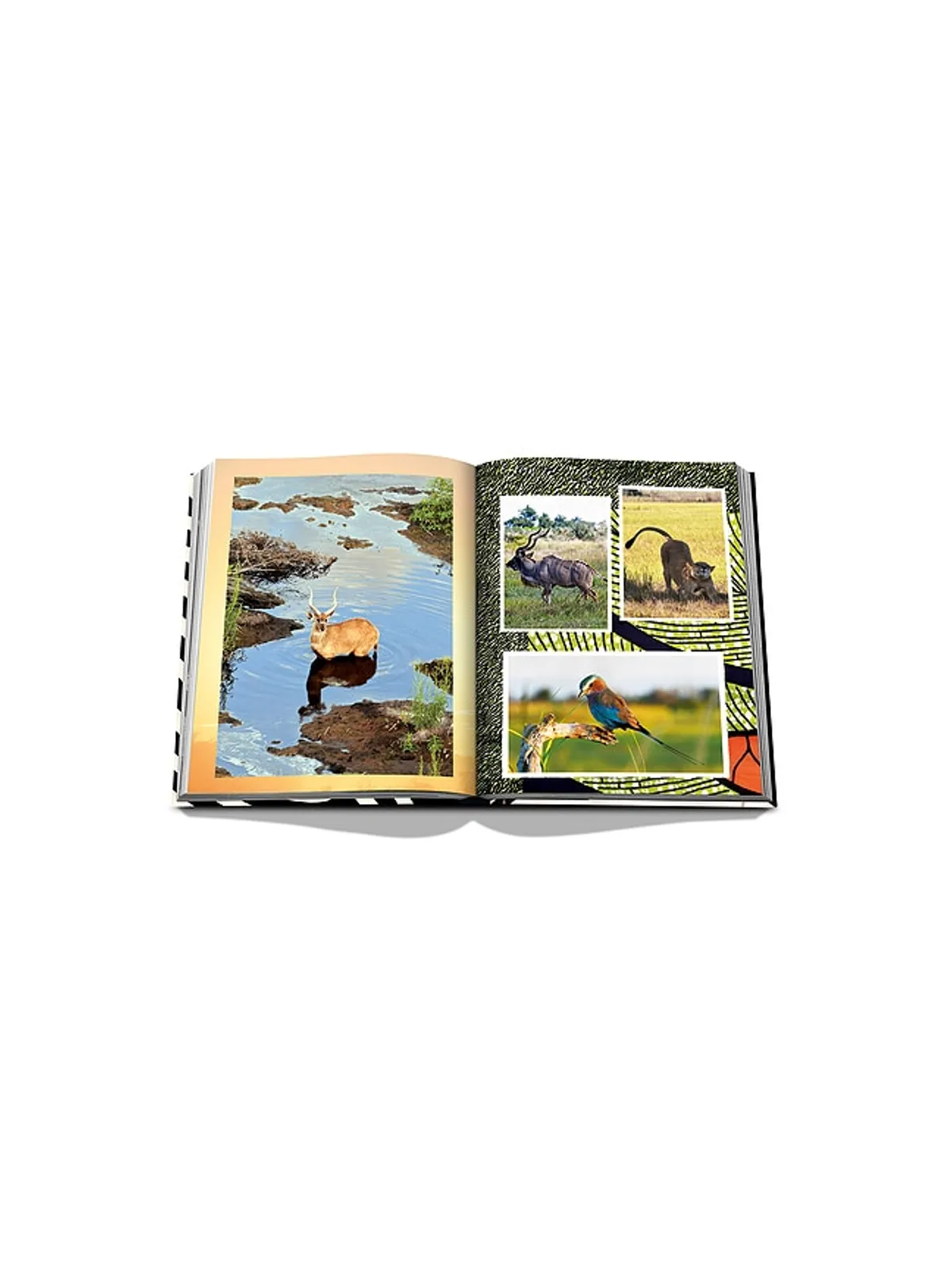 Assouline AFRICAN ADVENTURES: THE GREATEST SAFARI ON EARTH ブック - 画像5