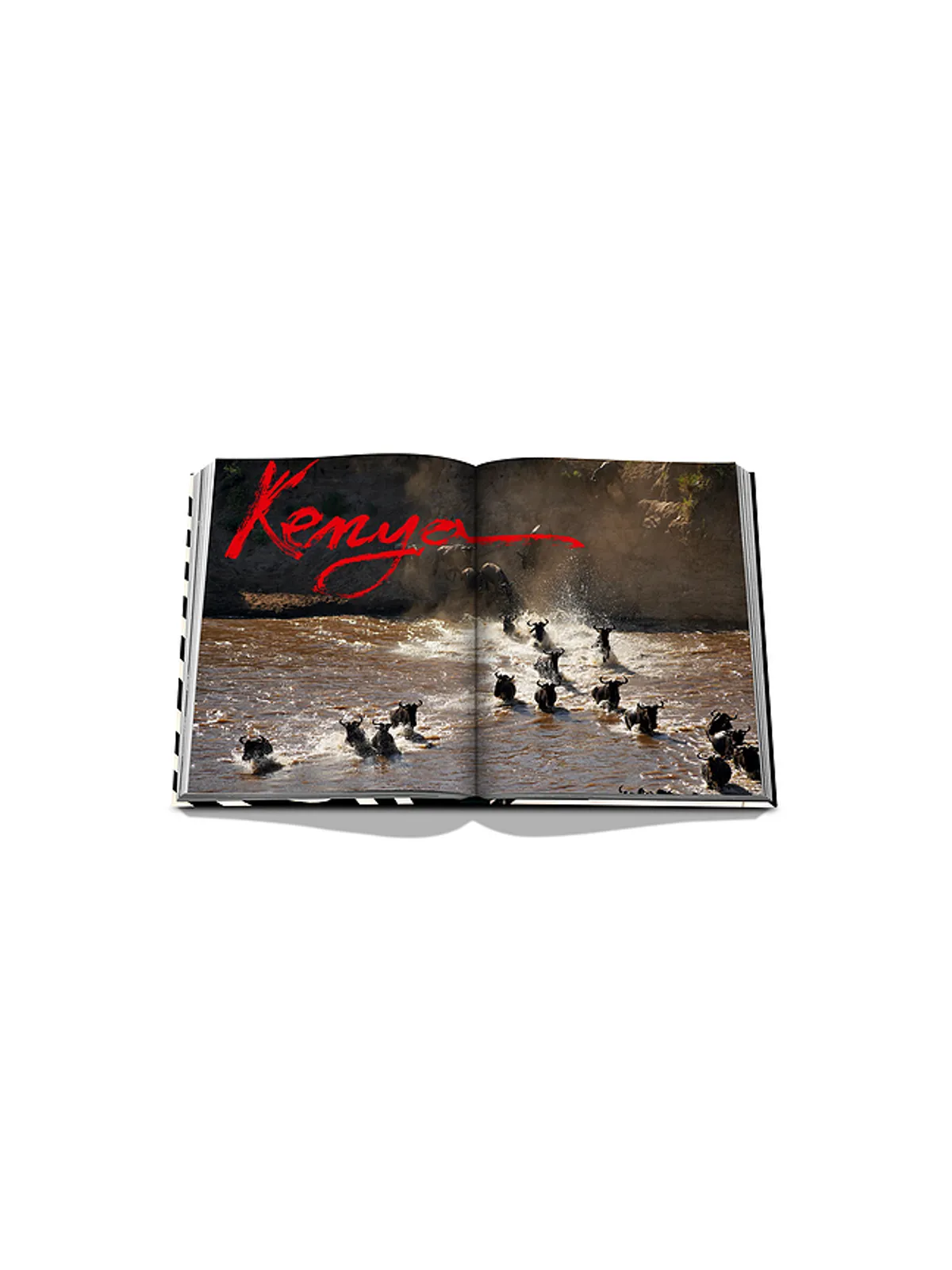 Assouline AFRICAN ADVENTURES: THE GREATEST SAFARI ON EARTH ブック - 画像7