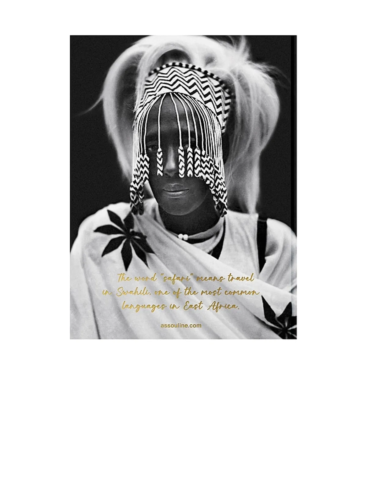 Assouline AFRICAN ADVENTURES: THE GREATEST SAFARI ON EARTH ブック - 画像3