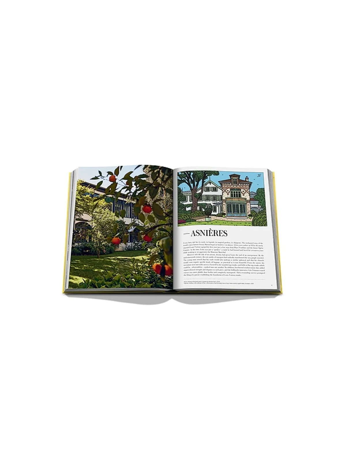 Assouline FROM LOUIS TO VUITTON 本 - 画像5