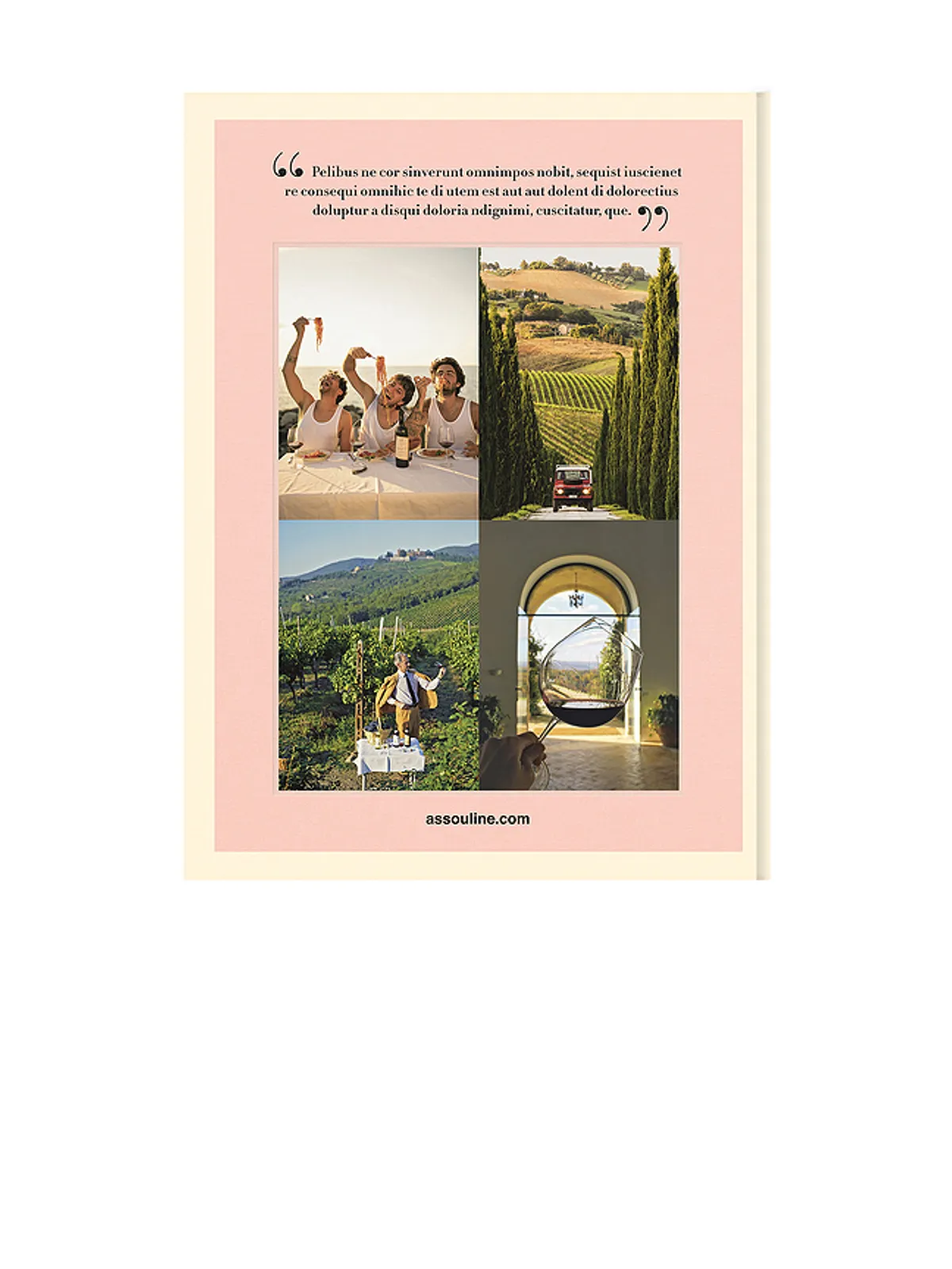 Assouline WINE & TRAVEL ITALY 本 - 画像2