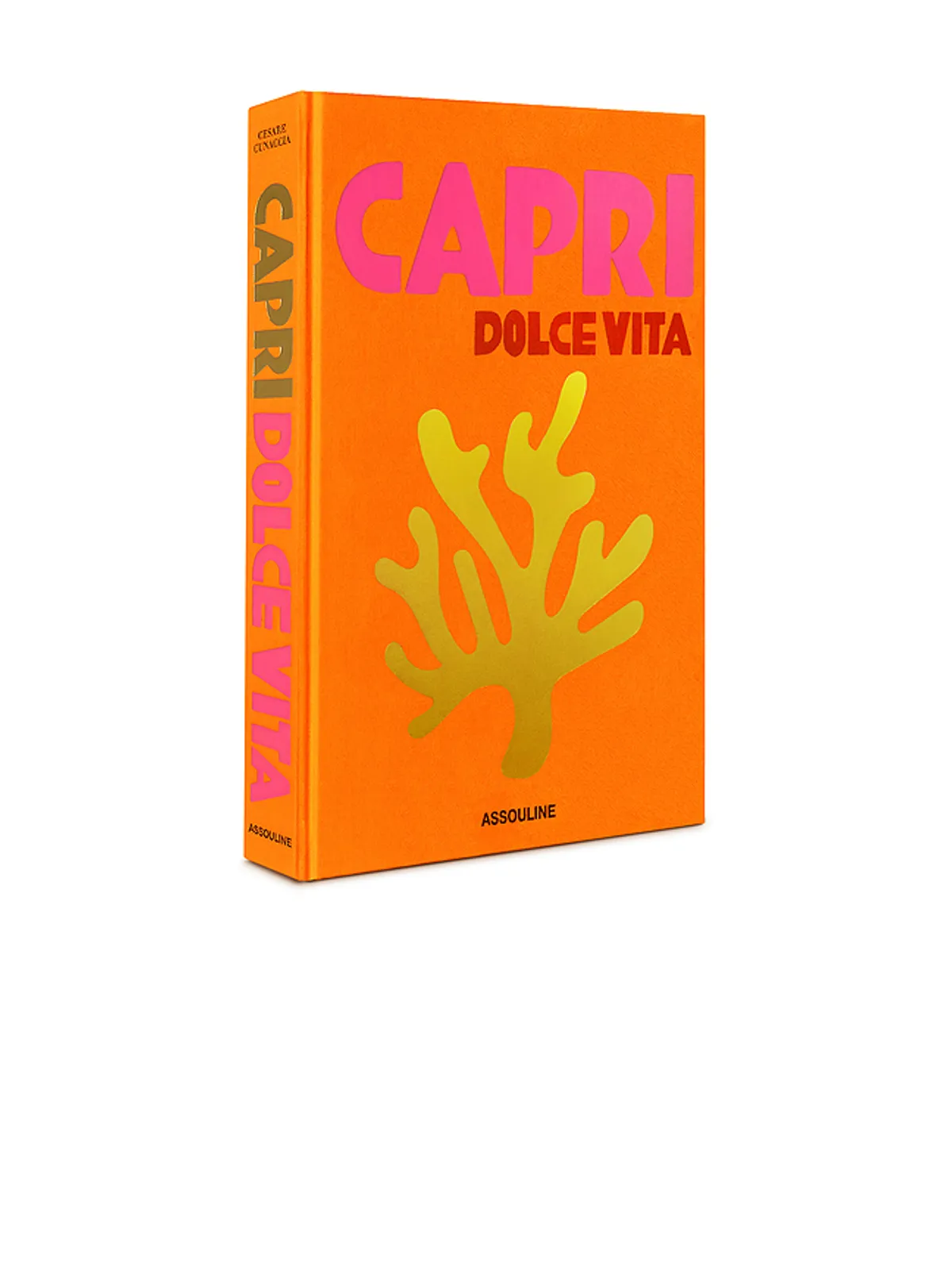 Assouline CAPRI DOLCE VITA ブック - 画像2
