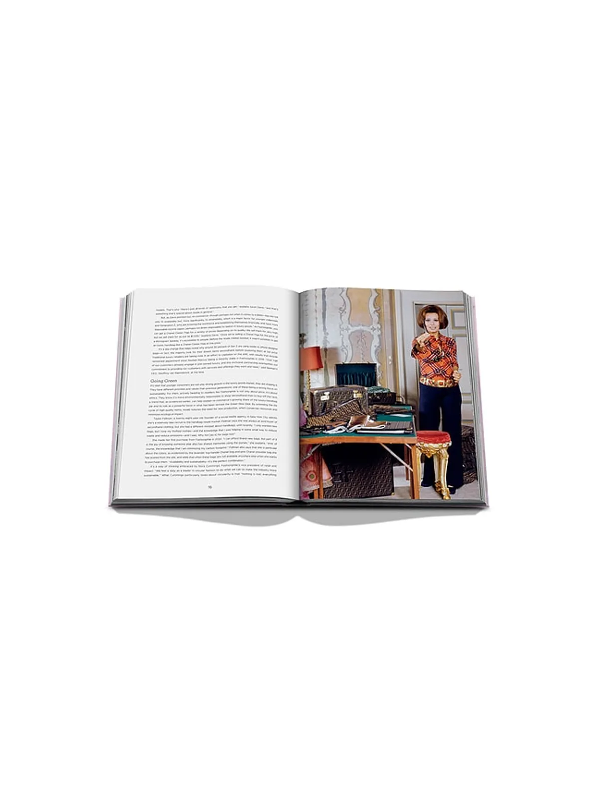 Assouline THE BOOK OF ICONIC BAGS 本 - 画像4