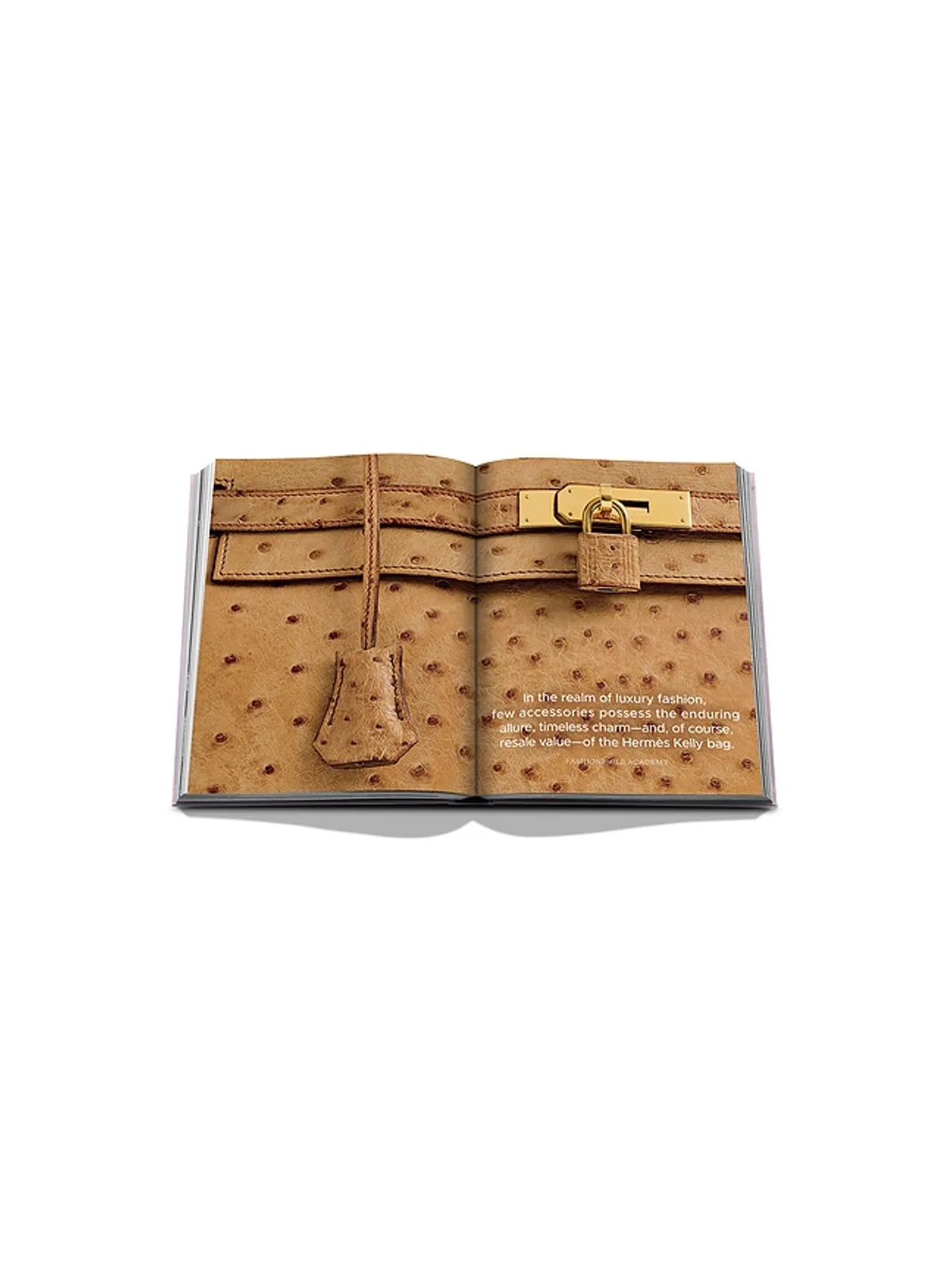 Assouline THE BOOK OF ICONIC BAGS 本 - 画像5