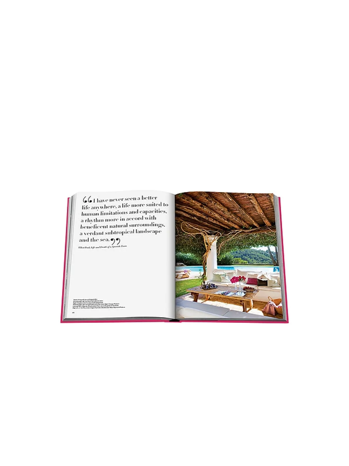 Assouline IBIZA BOHEMIA 本 - 画像7