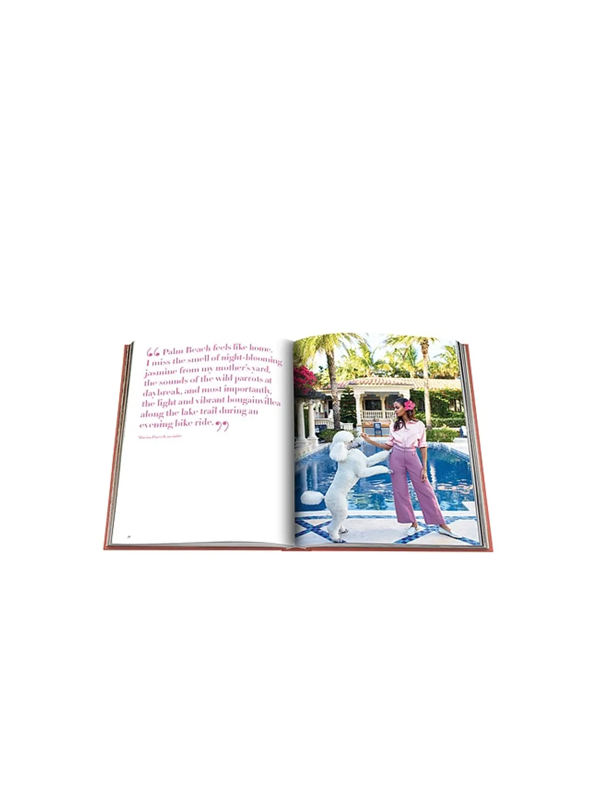 Assouline PALM BEACH 本 - 画像8