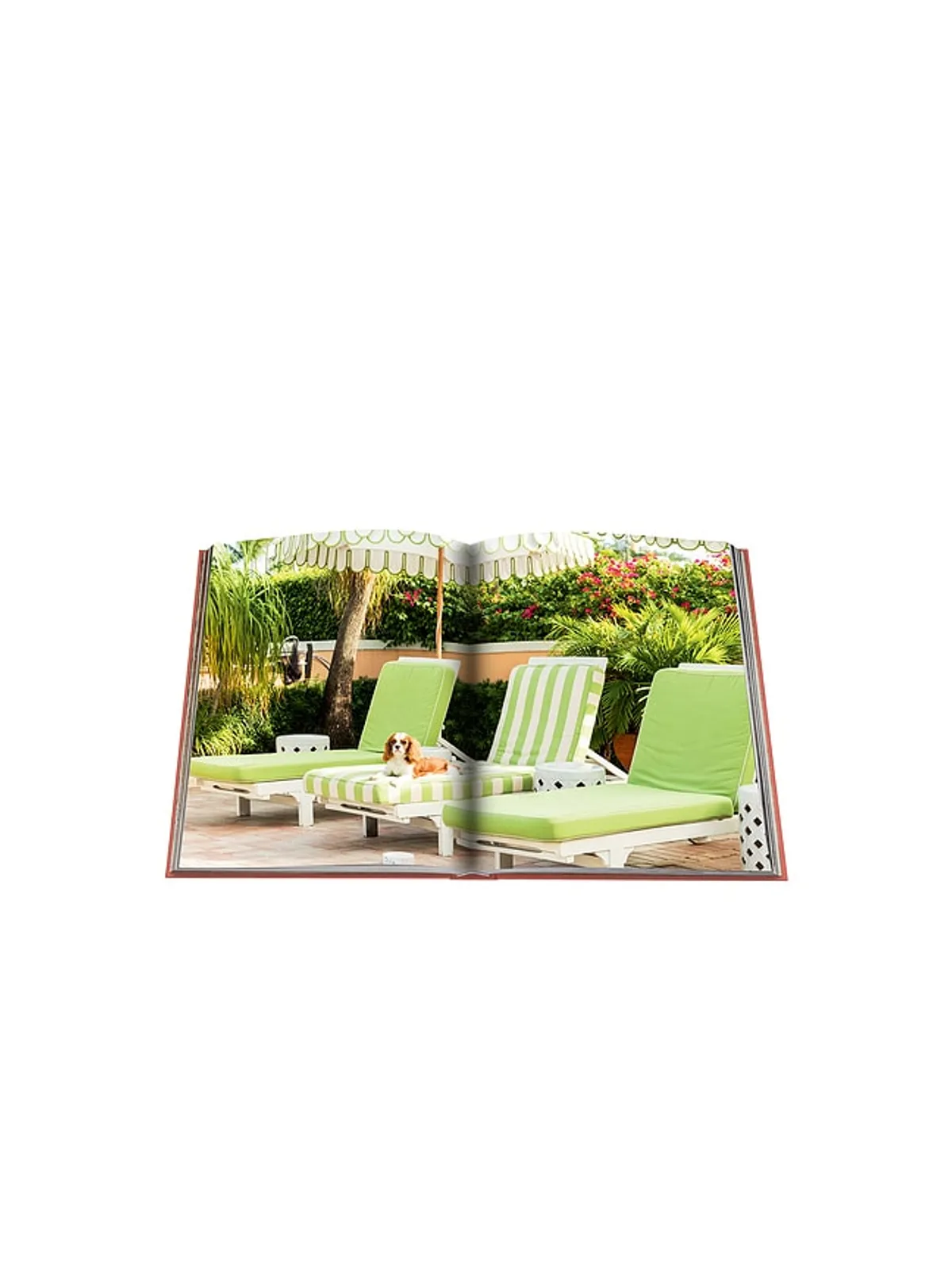Assouline PALM BEACH 本 - 画像9