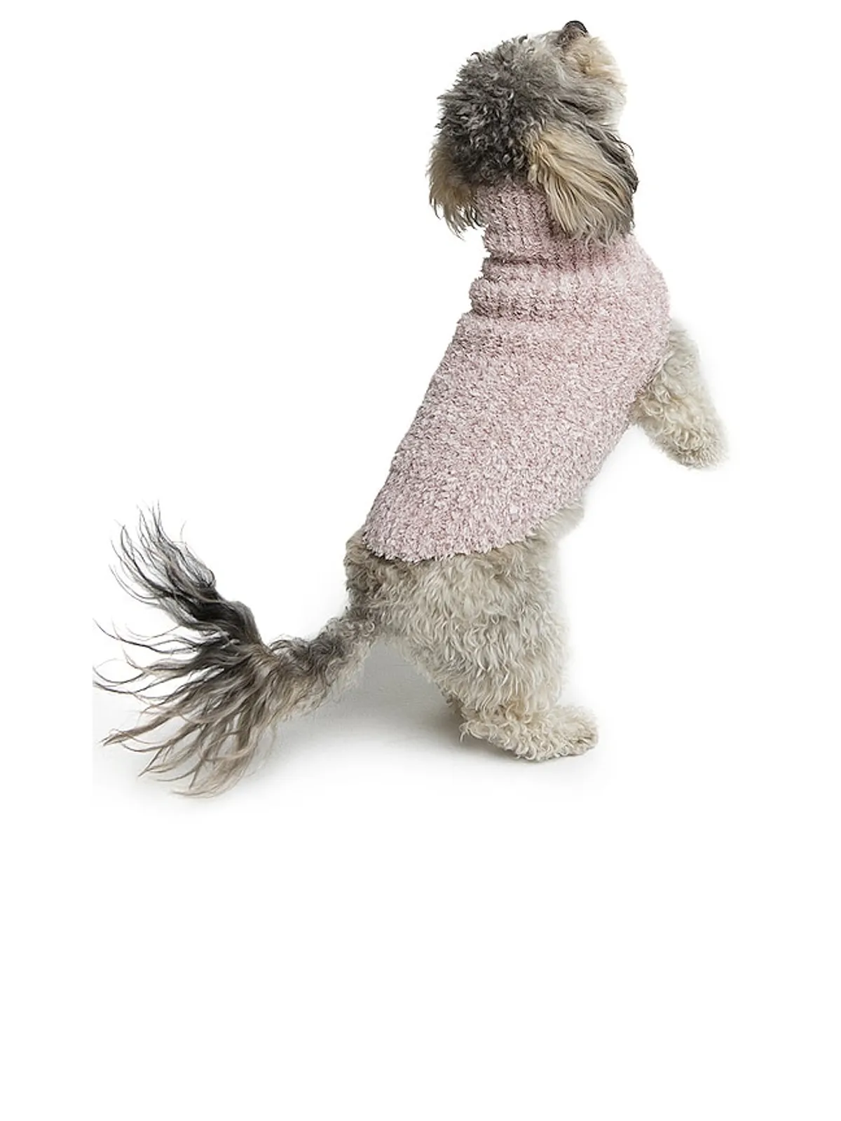 Barefoot Dreams COZYCHIC RIBBED PET SWEATER ペット用セーター - 画像4