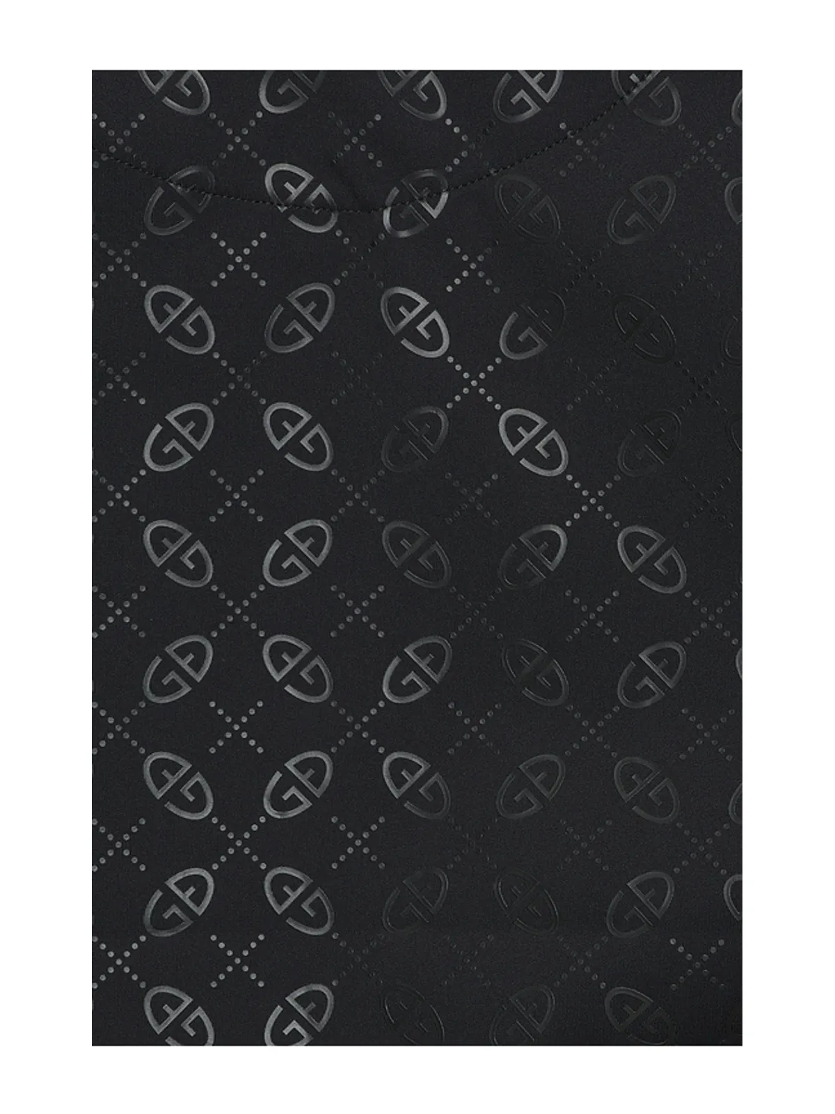 Goldbergh ICON トップ - 画像5