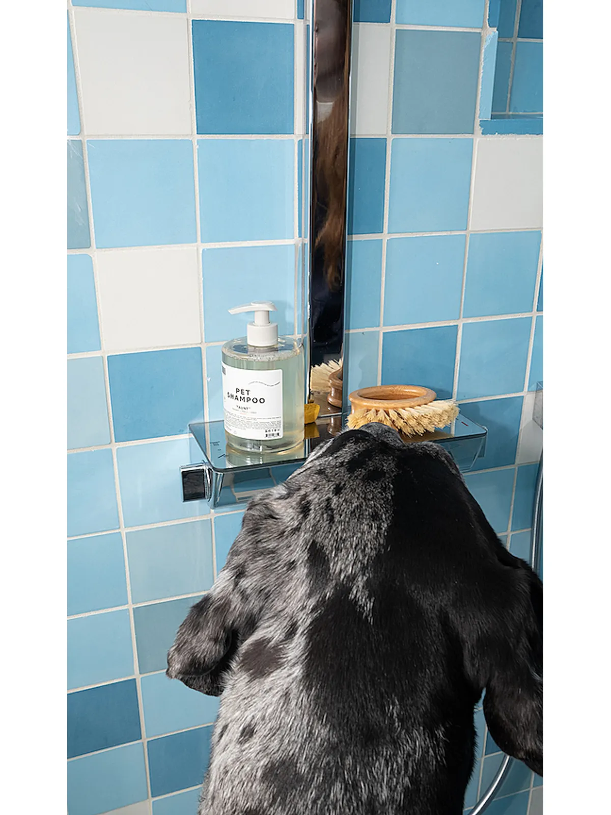DedCool PET SHAMPOO 01 TAUNT ペット用シャンプー - 画像2