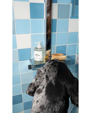 DedCool PET SHAMPOO 01 TAUNT ペット用シャンプー - サムネイル2
